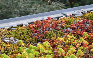 the cost of Pymore green roof installation