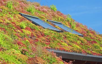 Pymore living roof systems