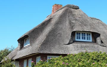 thatch roofing Pymore