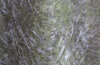 Pymore fibreglass roof work